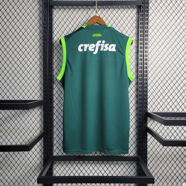 Regata do Palmeiras 23/24 Home