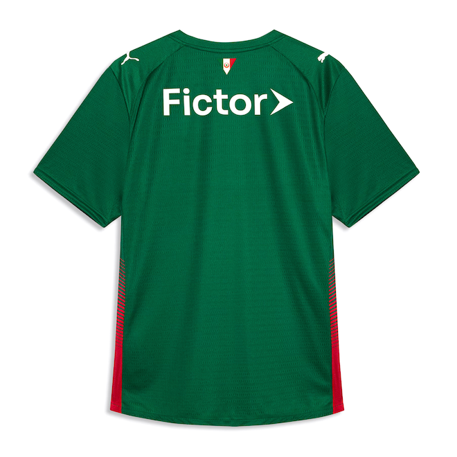 Camisa Palmeiras Verde 2026/27 JOGADOR