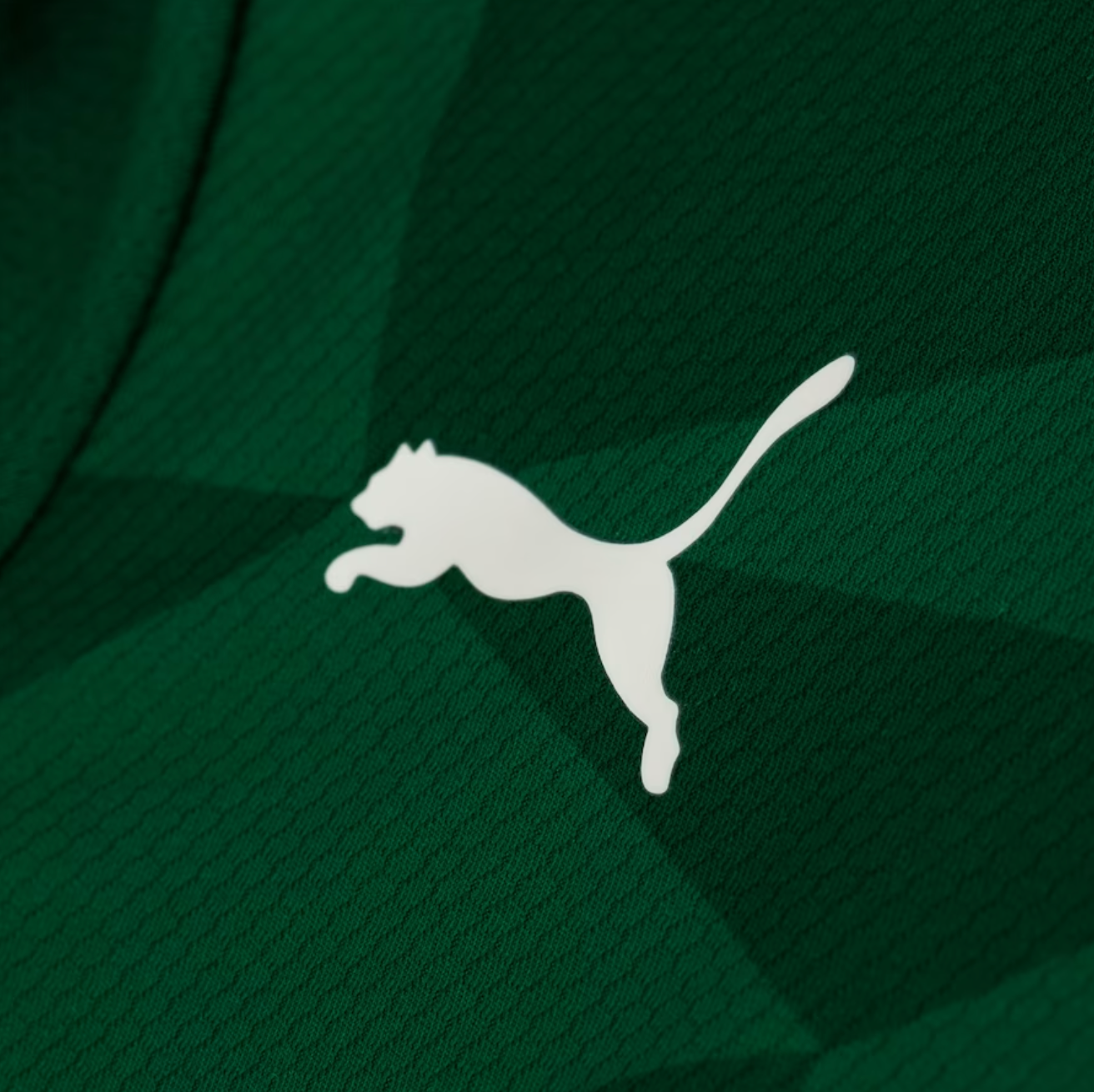 Camisa Palmeiras I 23/24 Verde