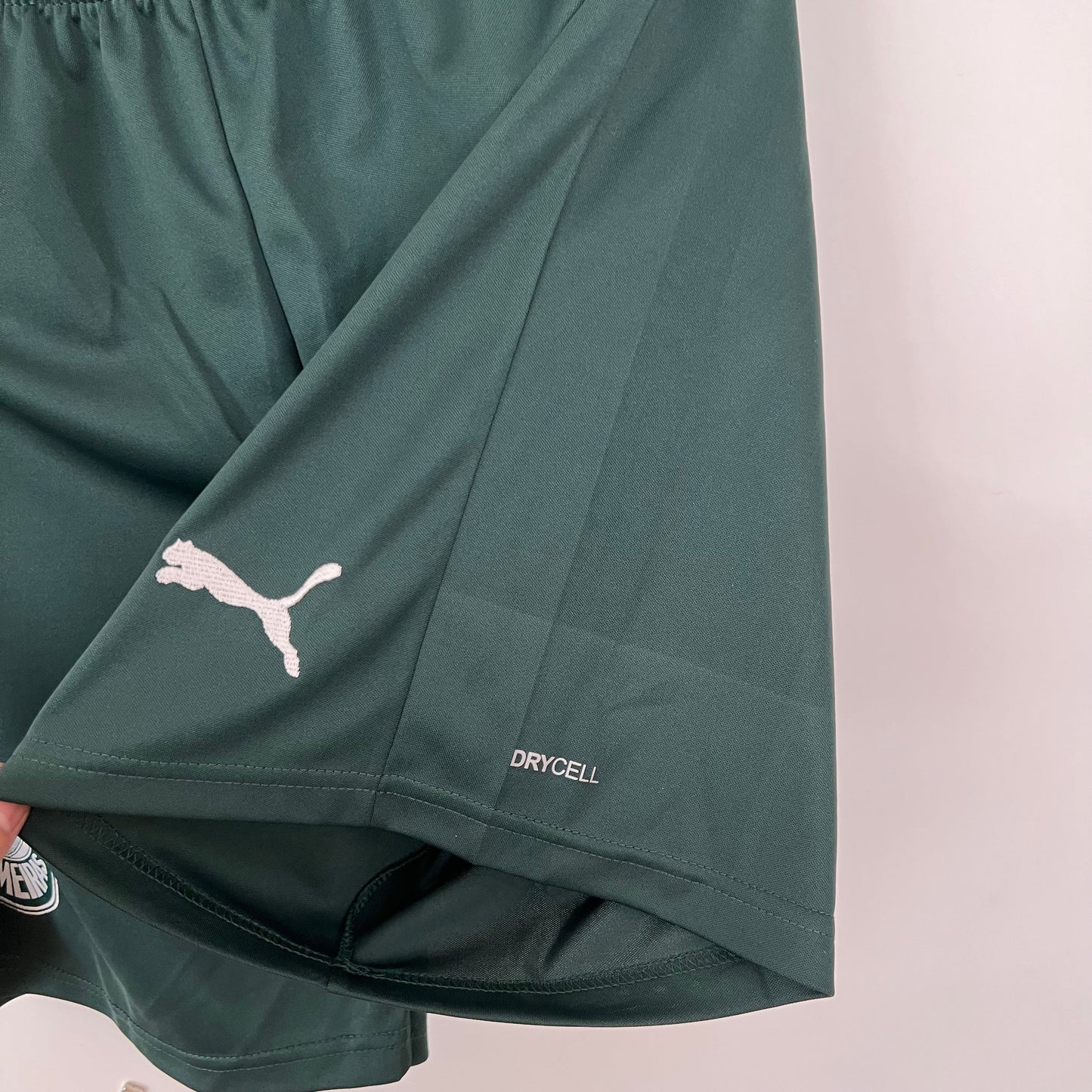 Short Palmeiras I 23/24 Verde