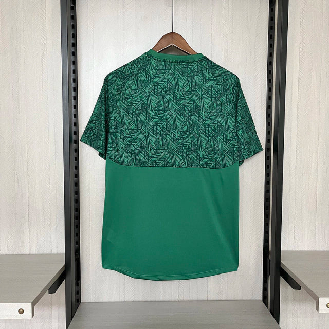 Camisa do Fluminense 24/25 Treino