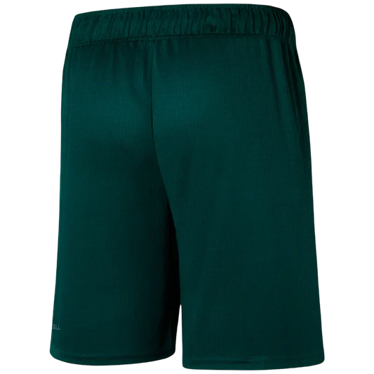 Short Palmeiras 2023/24 Home