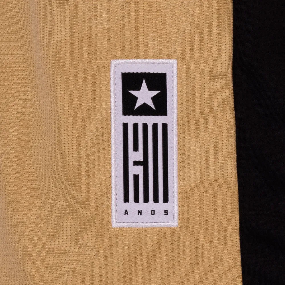 Camisa Botafogo Goleiro  24/25