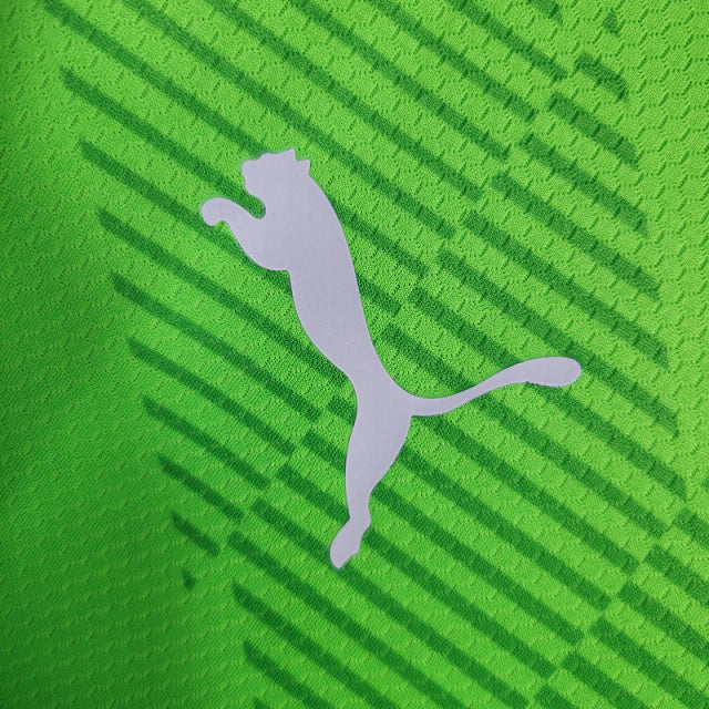 Camisa do Palmeiras Goleiro 23/24 Verde Florecente