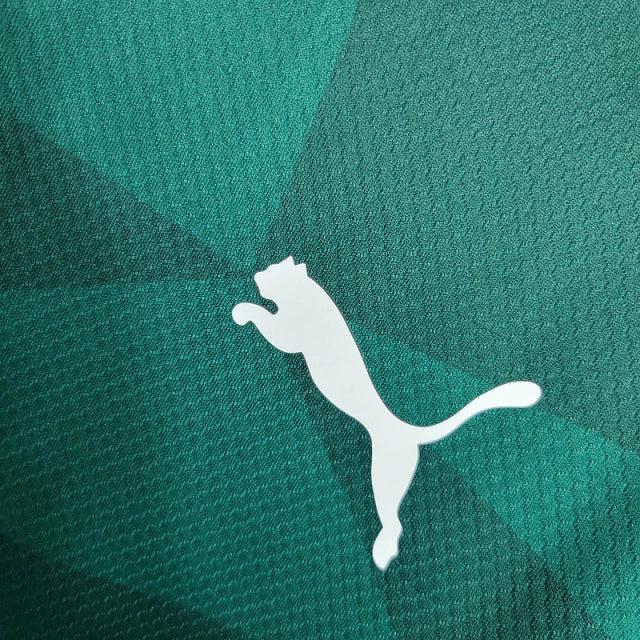 Camisa do Palmeiras 23/24 Manga Longa Home