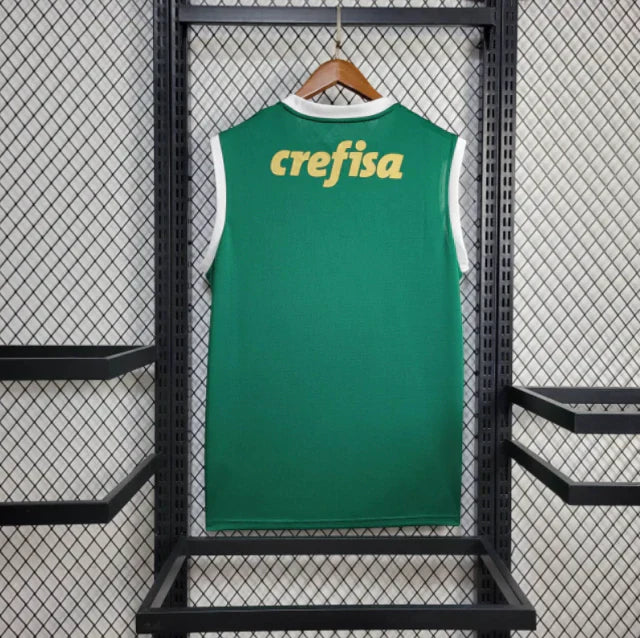 Regata do Palmeiras 24/25 Home