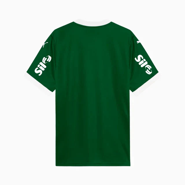 Camisa do Palmeiras Verde Completa 2026 + Patrocínios