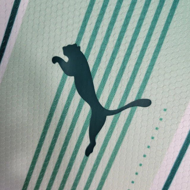 Camisa do Palmeiras 23/24 Manga Longa