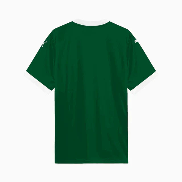 Camisa do Palmeiras Verde PAULINHO