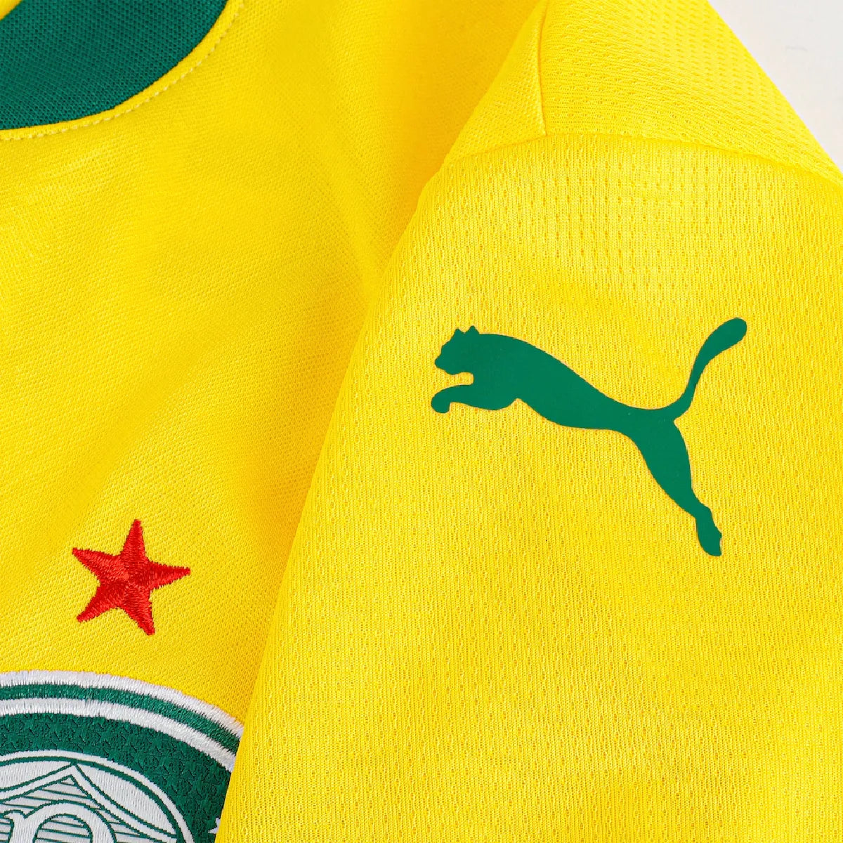 Camisa do Palmeiras Third 2026 Feminina