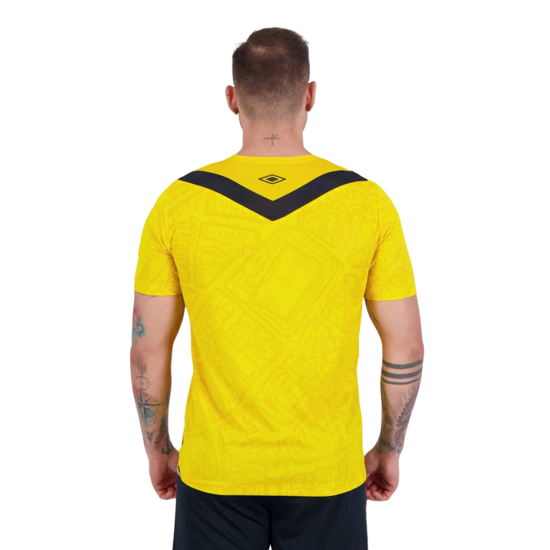Camisa Santos 24/25 Third