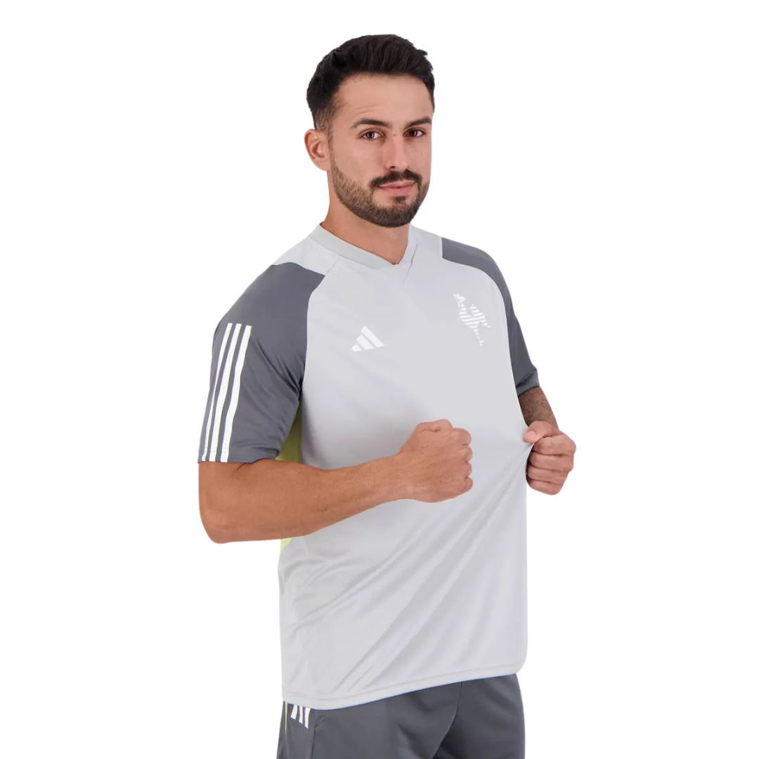 Camisa Atlético MG 2024/25 Treino