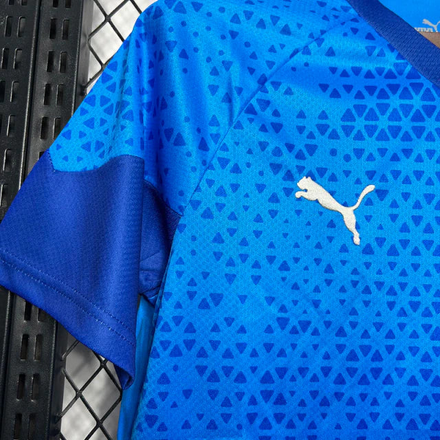 Camisa do Palmeiras 24/25 Treino