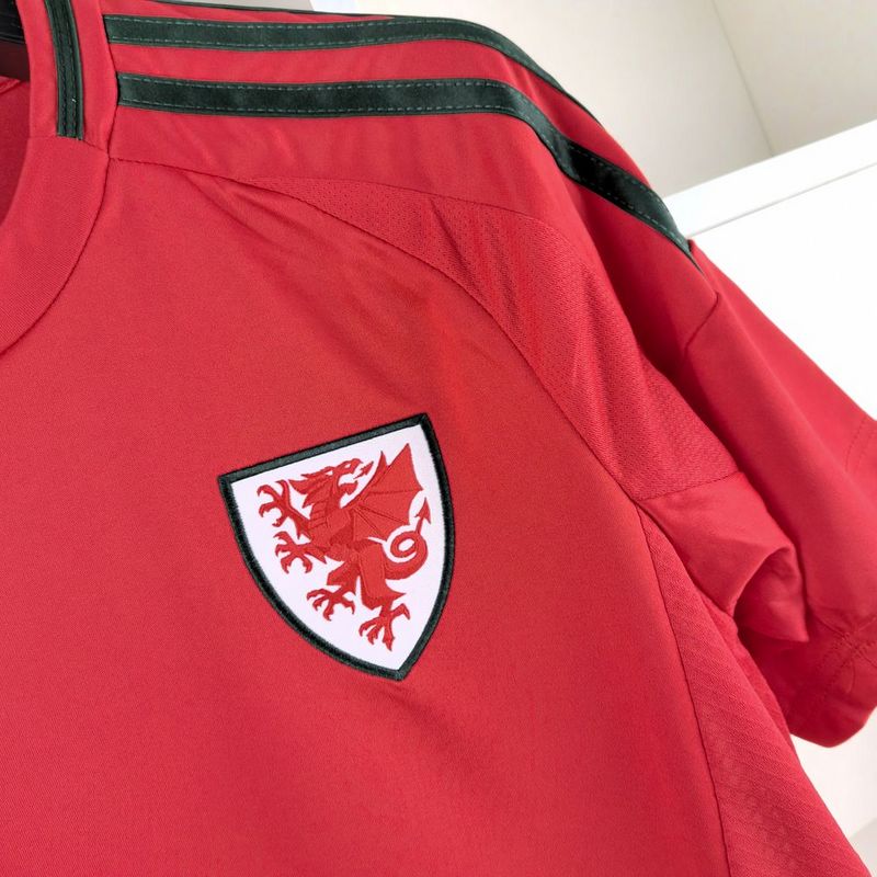 Camisa Seleção País de Gales - 24/25