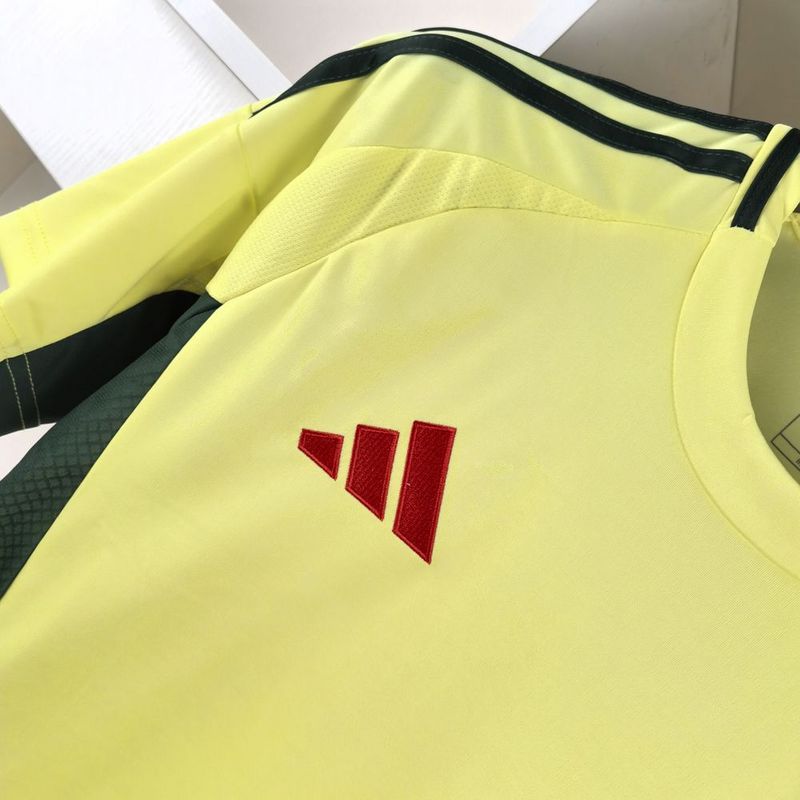 Camisa Seleção País de Gales II - 24/25