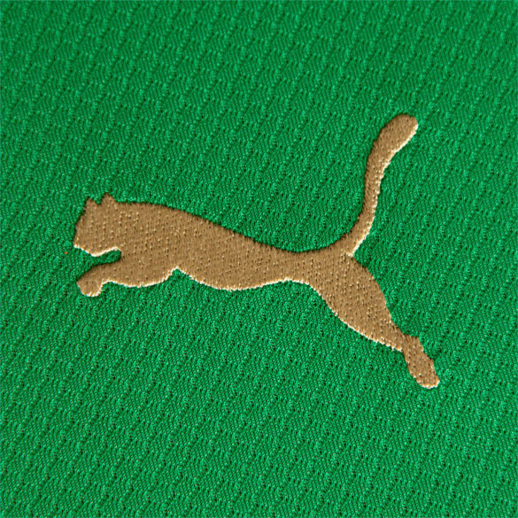 Camisa Palmeiras Edição Comemorativa 70 Anos  Verde