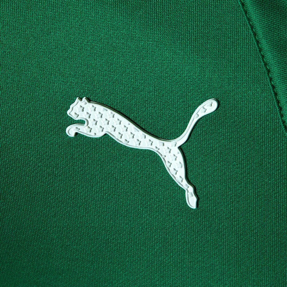 Camisa Palmeiras ABEL