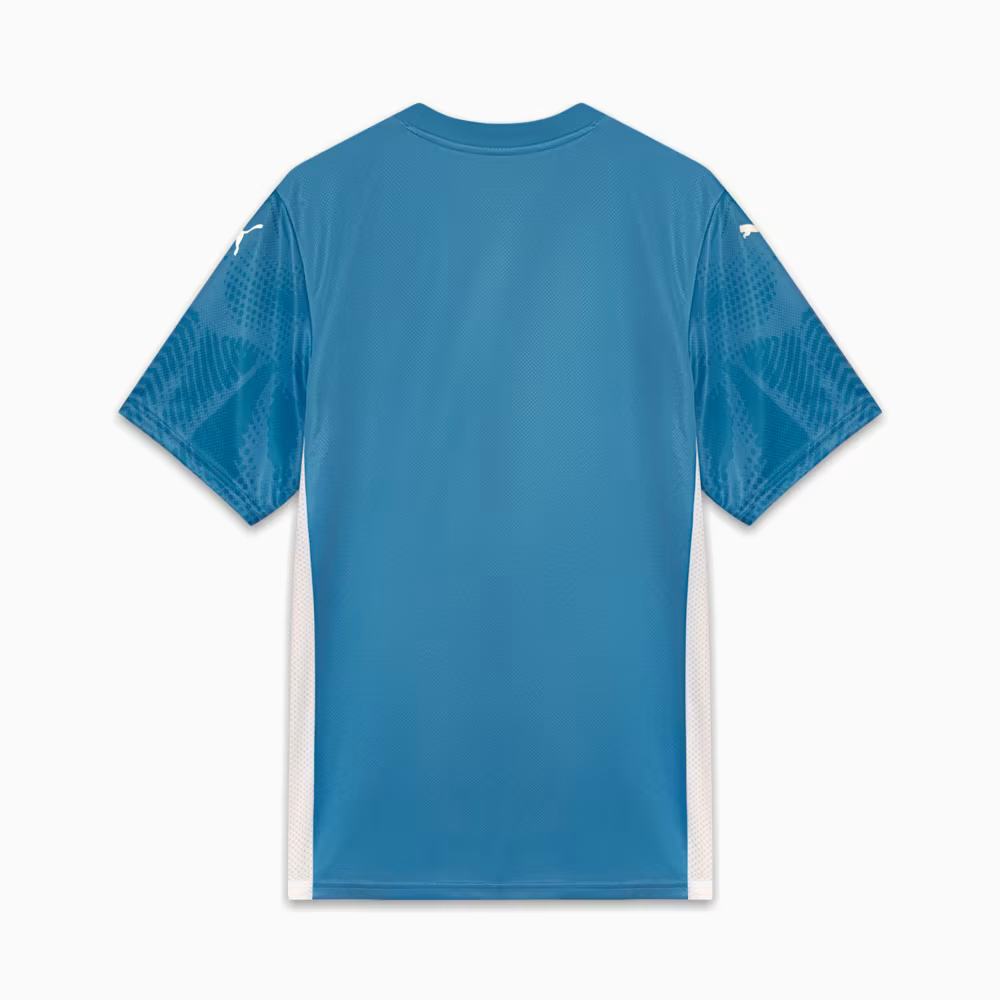 Camisa do Palmeiras Goleiro 2026